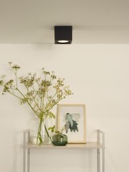 Fedler Svart spotlight från Lucide - Takspotlighten &auml;r l&auml;tt att installera och kan kopplas till en dimmer (exkluderad) om s&aring; &ouml;nskas.