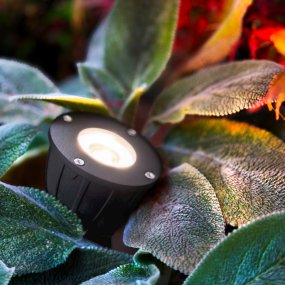 Luminius Mörkgrå från Lightson - En lampa med en smal ljusspridning (15&deg;) som passar till tr&auml;d d&auml;r stammen ska framh&auml;vas, alternativt d&auml;r du vill att ljuset ska n&aring; hela v&auml;gen upp i toppen p&aring; exempelvis h&ouml;ga tallar och bj&ouml;rkar.