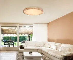 Rainer Ø80 Natur plafond från Globo Lighting - Lampan har &auml;ven en f&auml;rgv&auml;xlingsfunktion med m&ouml;jlighet att fixera en vald f&auml;rg, vilket g&ouml;r den b&aring;de flexibel och funktionell.