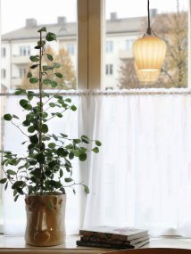 Amalfi Ø14 Aprikos fönsterlampa från PR Home - Amalfi f&ouml;nsterpendel har en tidl&ouml;s och elegant design med en mjuk form inspirerad av sn&ouml;droppens blomma.