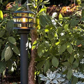 Jupiter Mörkgrå från Lightson - Jupiter &auml;r en stilren pollare i m&ouml;rkgr&aring;tt utf&ouml;rande som ger ett behagligt och tydligt ledljus l&auml;ngs g&aring;ngar, garageuppfarter och vid entr&eacute;er.