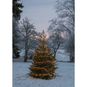 Ljusslinga Golden Warm White 24m Svart från Star Trading - Ljusslinga med 1200st LED lampor med vackert gyllene ljussken.