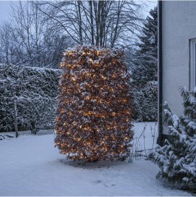 Ljusnät Shiny Warm White 3m Svart från Star Trading - N&auml;tslinga med 200 LEDljuspunkter med vackert varmvitt ljussken.