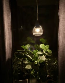 Elin Ø10 Rökfärgad fönsterlampa från Aneta Lighting - Popul&auml;ra f&ouml;nsterlampan Elin har en stils&auml;ker design i svartlackerad metall och kupa i r&ouml;kf&auml;rgat glas med dekorativa r&auml;fflor.