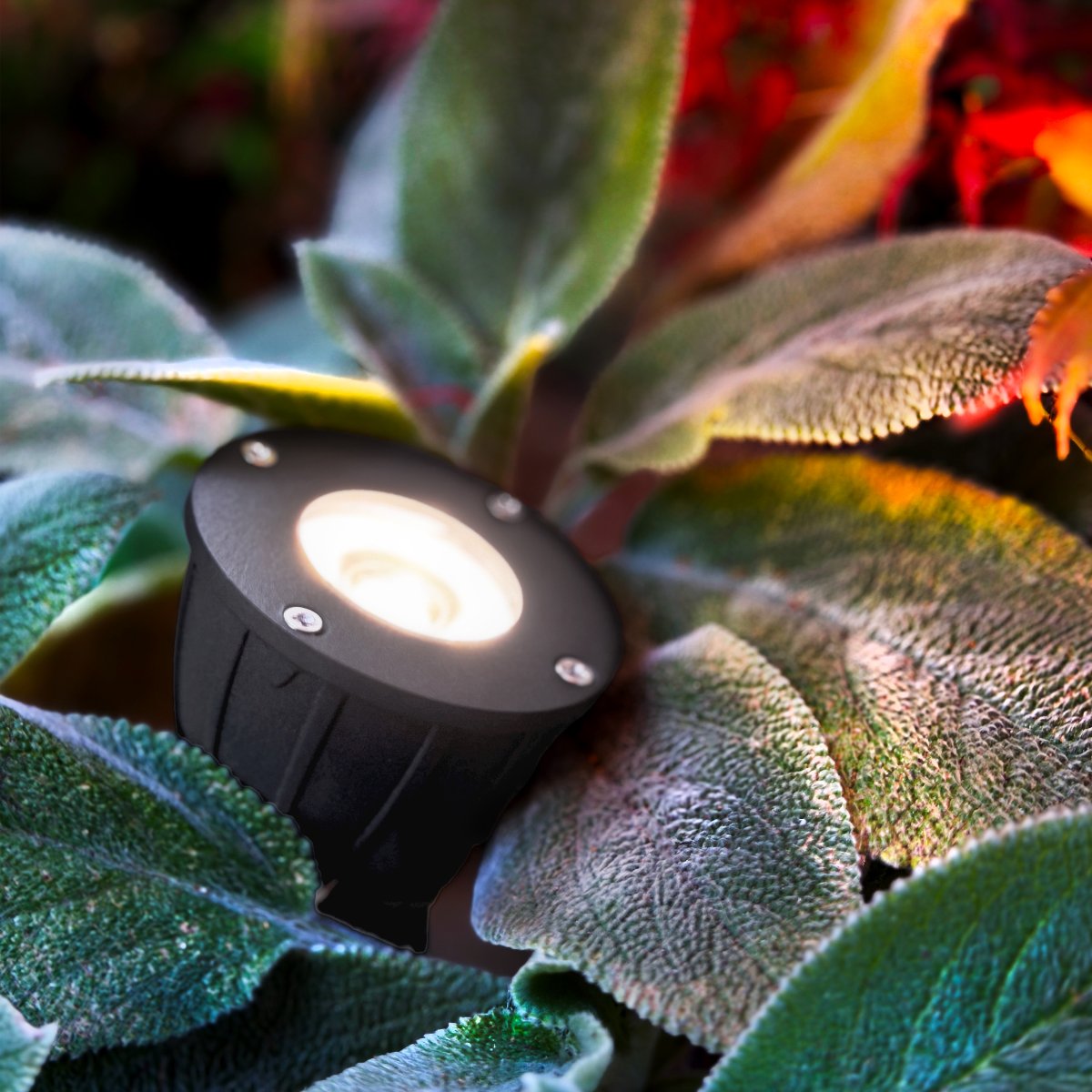 Luminius Mörkgrå från Lightson - En lampa med en smal ljusspridning (15&deg;) som passar till tr&auml;d d&auml;r stammen ska framh&auml;vas, alternativt d&auml;r du vill att ljuset ska n&aring; hela v&auml;gen upp i toppen p&aring; exempelvis h&ouml;ga tallar och bj&ouml;rkar.