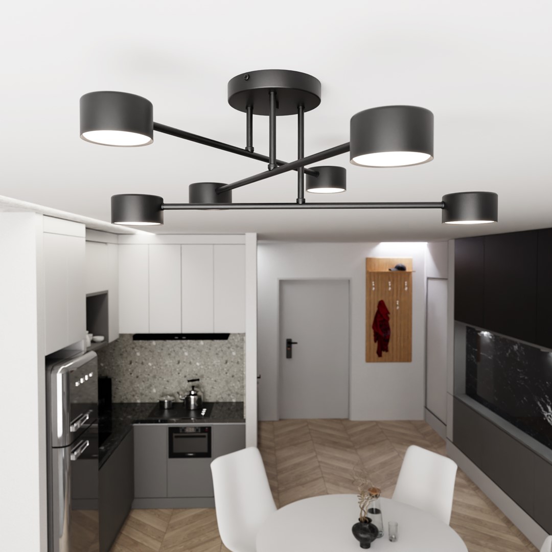 Halo Ø60 Svart plafond från Emibig Lighting - Halo - Denna exceptionella belysning har en modern och minimalistisk design.