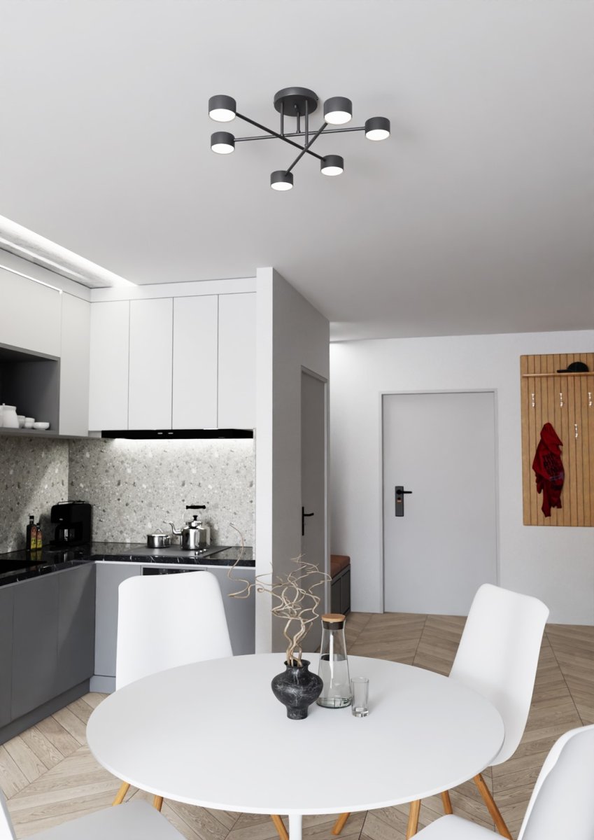 Halo Ø60 Svart plafond från Emibig Lighting - Halo - Denna exceptionella belysning har en modern och minimalistisk design.