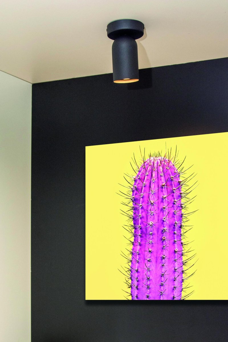 Punch Svart spotlight från Lucide - Genom att ansluta den till en extern dimmer kan du skapa den perfekta atmosf&auml;ren n&auml;r som helst.