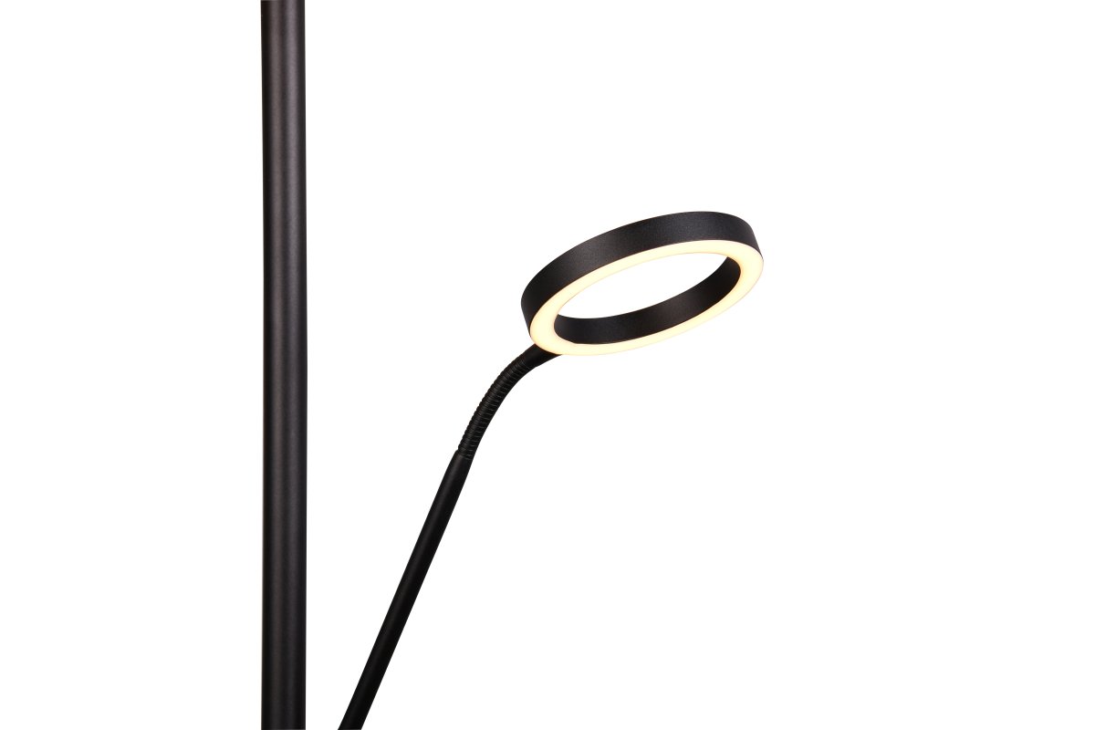 Willis Svart golvlampa från Trio Lighting - B&aring;da ljusk&auml;llorna kan styras separat, och b&aring;de ljusf&auml;rg och ljusstyrka justeras individuellt f&ouml;r optimal komfort.