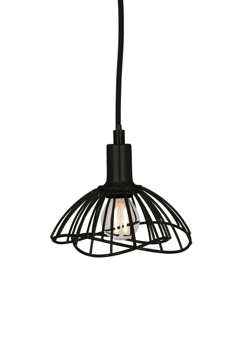 Ray Ø16 Svart fönsterlampa från Globen Lighting - Ray &auml;r en f&ouml;nsterlampa i metall med en organisk, mjukt b&ouml;ljande form.
