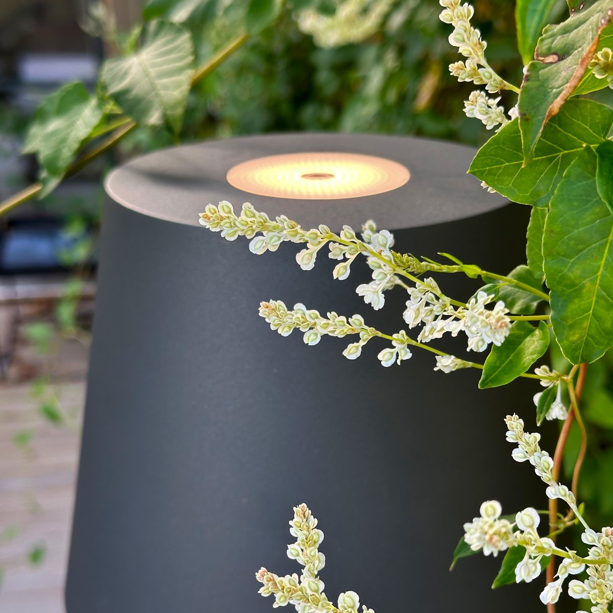 Sofy Mörkgrå från Lightson - Sofy &auml;r en stilren golvlampa i m&ouml;rkgr&aring; aluminium, speciellt designad f&ouml;r att skapa en ombonad och mysig st&auml;mning i dina utomhusmilj&ouml;er.
