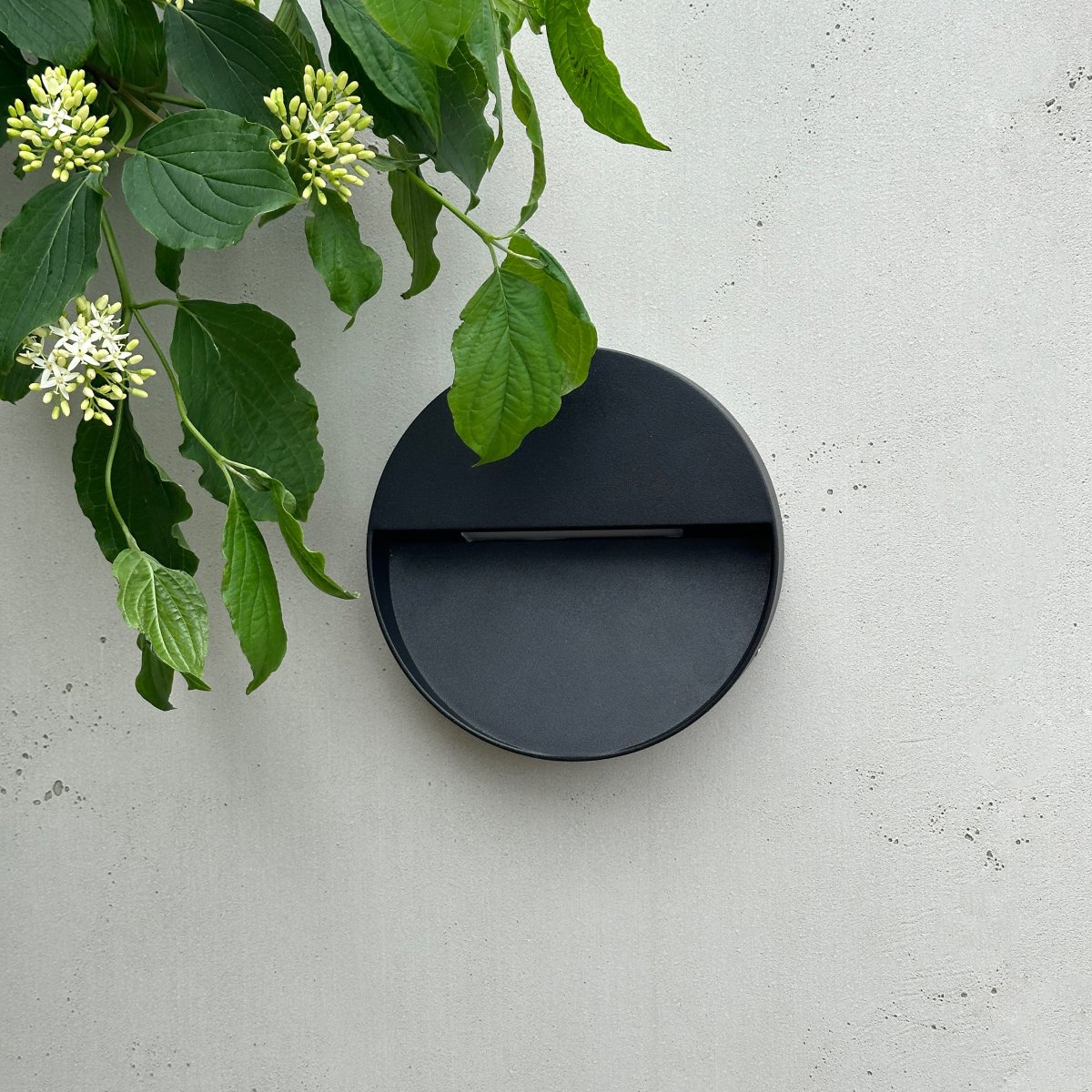 Pluto Svart utelampa från Dyberg Larsen - Med sin moderna design och robusta kvalitet &auml;r denna lampa perfekt f&ouml;r att lysa upp ditt hem och skapa en inbjudande atmosf&auml;r.