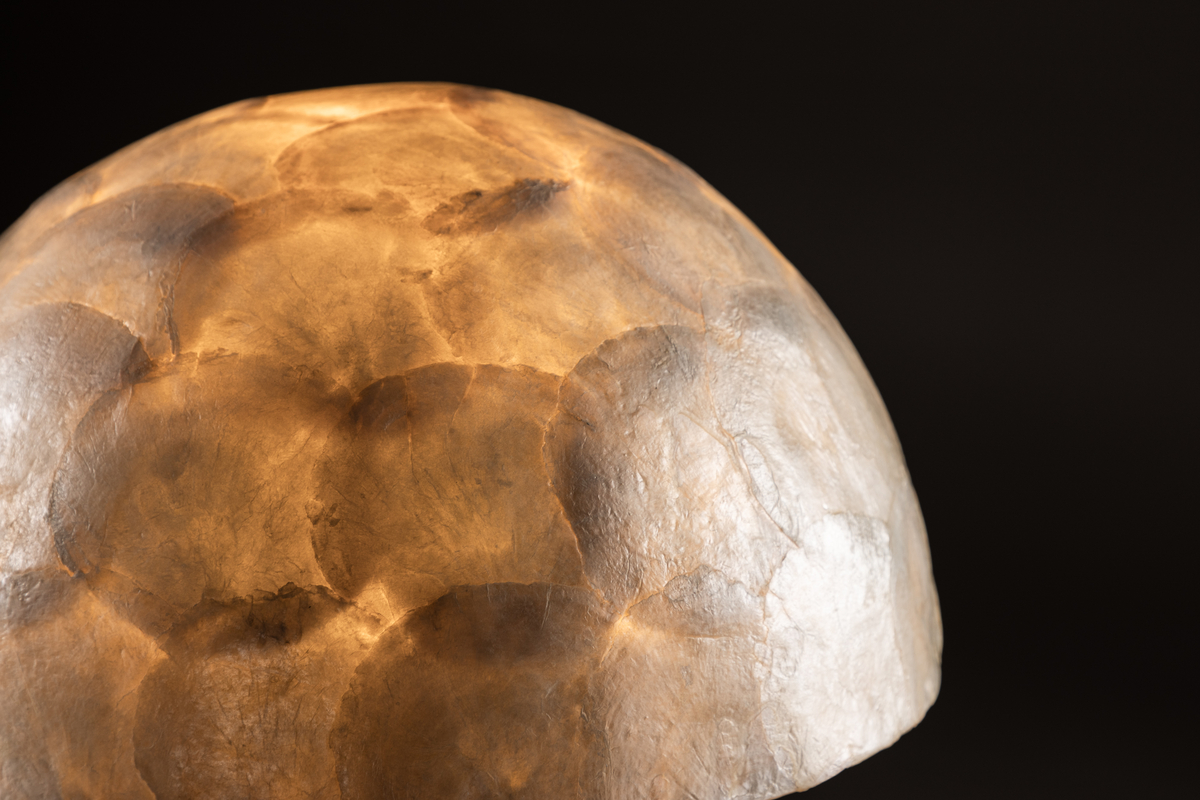 Lindön 48cm Beige bordslampa från Venture Design - Placera den p&aring; ett sidobord eller en byr&aring; och l&aring;t Lind&ouml;n tillf&ouml;ra en modern och elegant touch till din inredning.