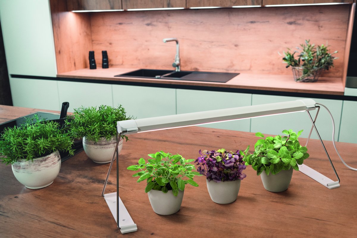 Växtbelysning Garden Light Stand Vit från - Du placerar smidigt dina v&auml;xtplantor undertill och f&ouml;rser dem med ett speciellt utvecklat LED-spektrum av vita och r&ouml;da lysdioder som fr&auml;mjar fotosyntes i de flesta v&auml;xter och hj&auml;lper dem att v&auml;xa.