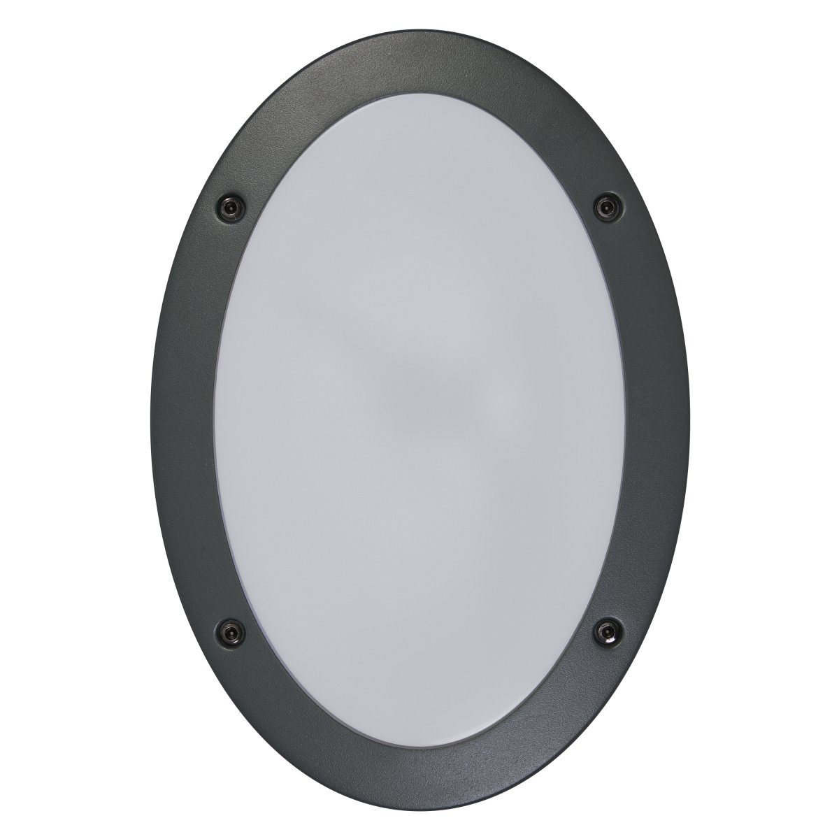 Orbi Mörkgrå utelampa från Osram - Tillverkad av pressgjuten aluminium och med IP65-klassning, &auml;r denna lampa helt skyddad mot b&aring;de damm och vatten, vilket g&ouml;r den perfekt f&ouml;r alla v&auml;derf&ouml;rh&aring;llanden.