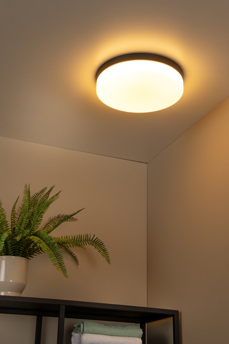 Biskit Ø35 Svart badrumslampa från Lucide - En stilfull och funktionell l&ouml;sning som lyser upp b&aring;de morgon- och kv&auml;llsrutiner.