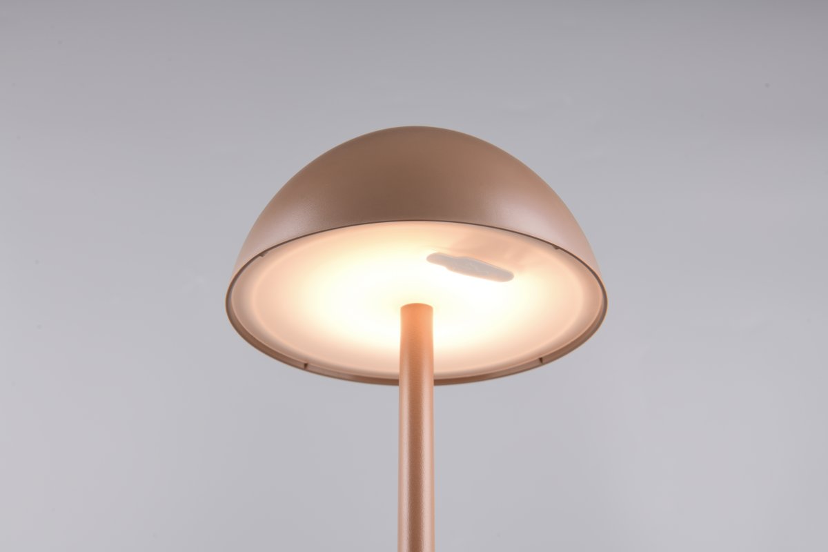 Ricardo 30cm Ljusbrun portabel från Trio Lighting - Ricardo &auml;r en stilren portabel bordslampa f&ouml;r utomhusbruk.