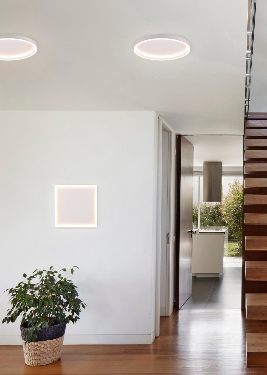 Rotonda Ø35 Vit plafond från Trio Lighting - Den minimalistiska armaturen Rotonda &auml;r uttrycksfull med sin geometriska form och sprider samtidigt ett behagligt ljusspel i ditt hem med sina klara linjer.